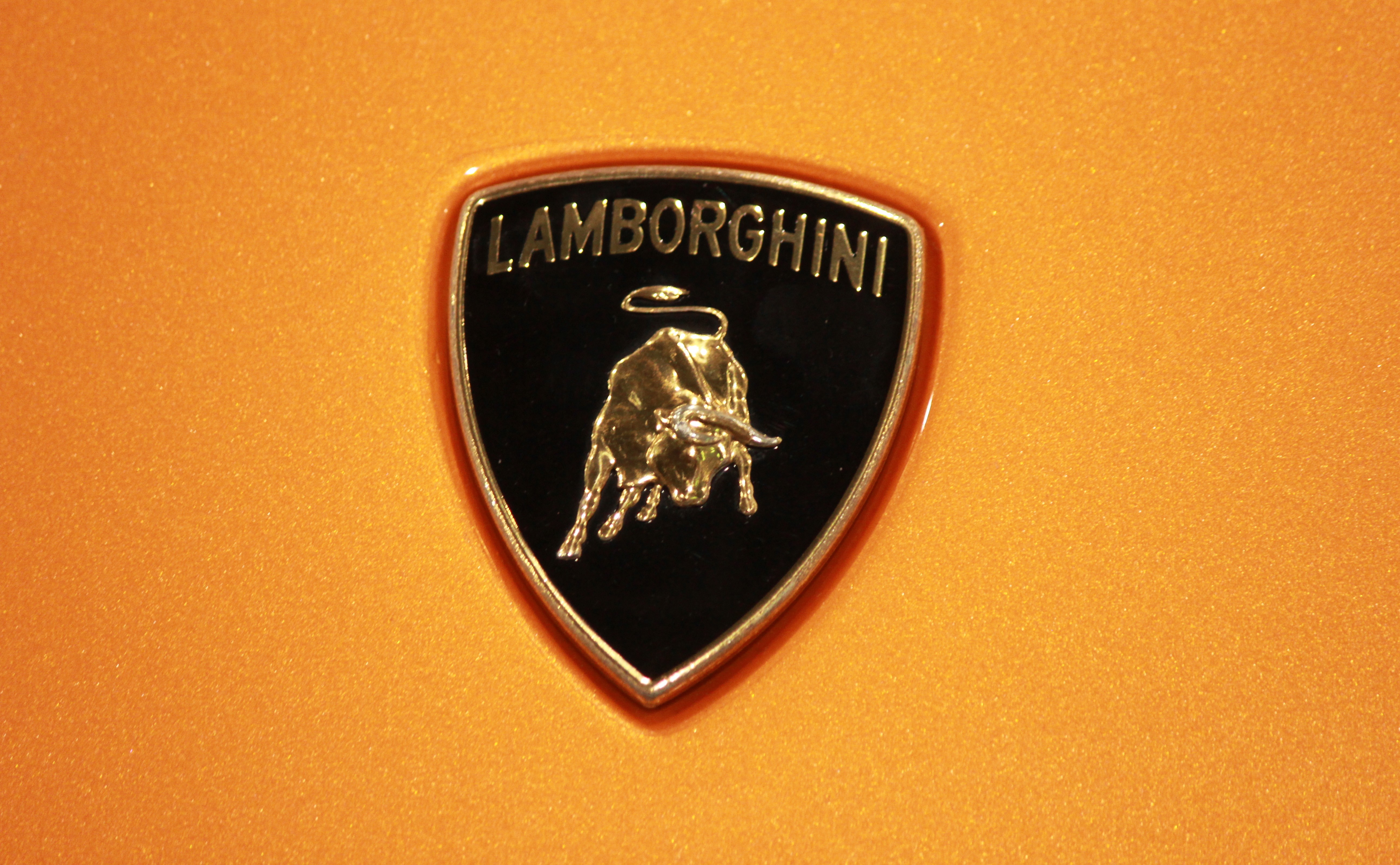Lamborghini logo