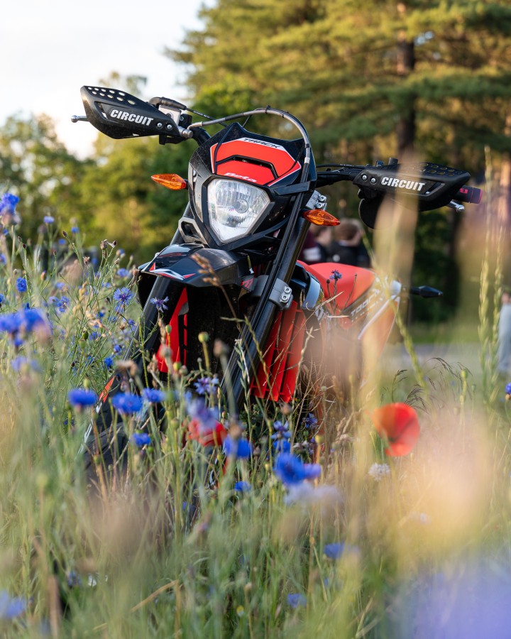 Clean Beta in Wildflowers