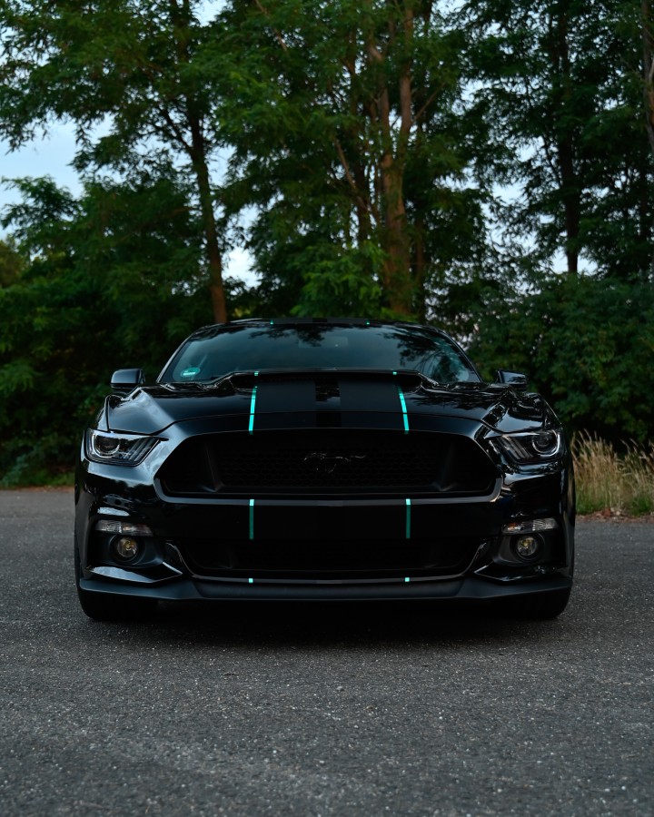 Blacked-Out Mustang, Teal Stripe